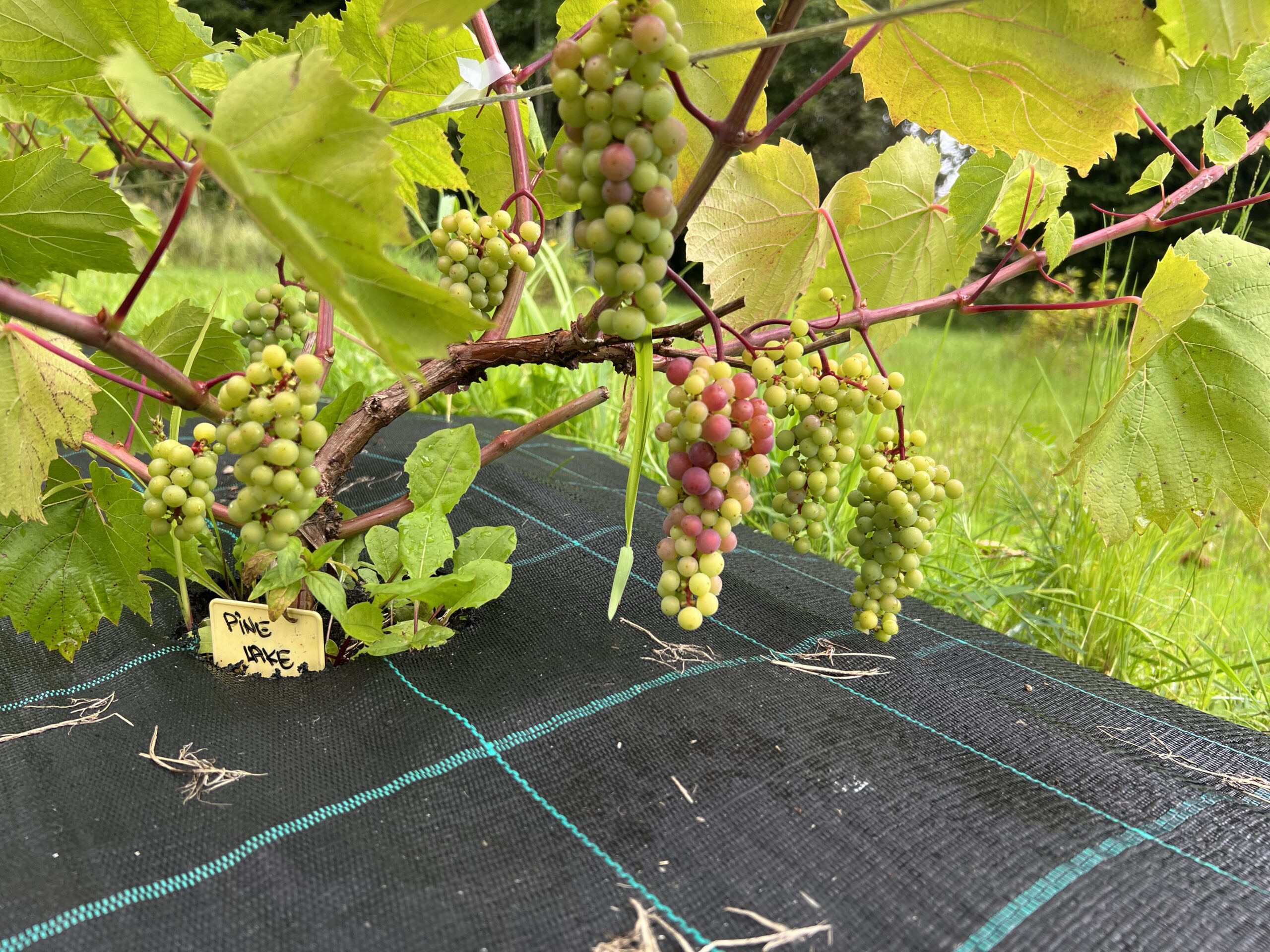 services-01 IMG 0692 Scaled